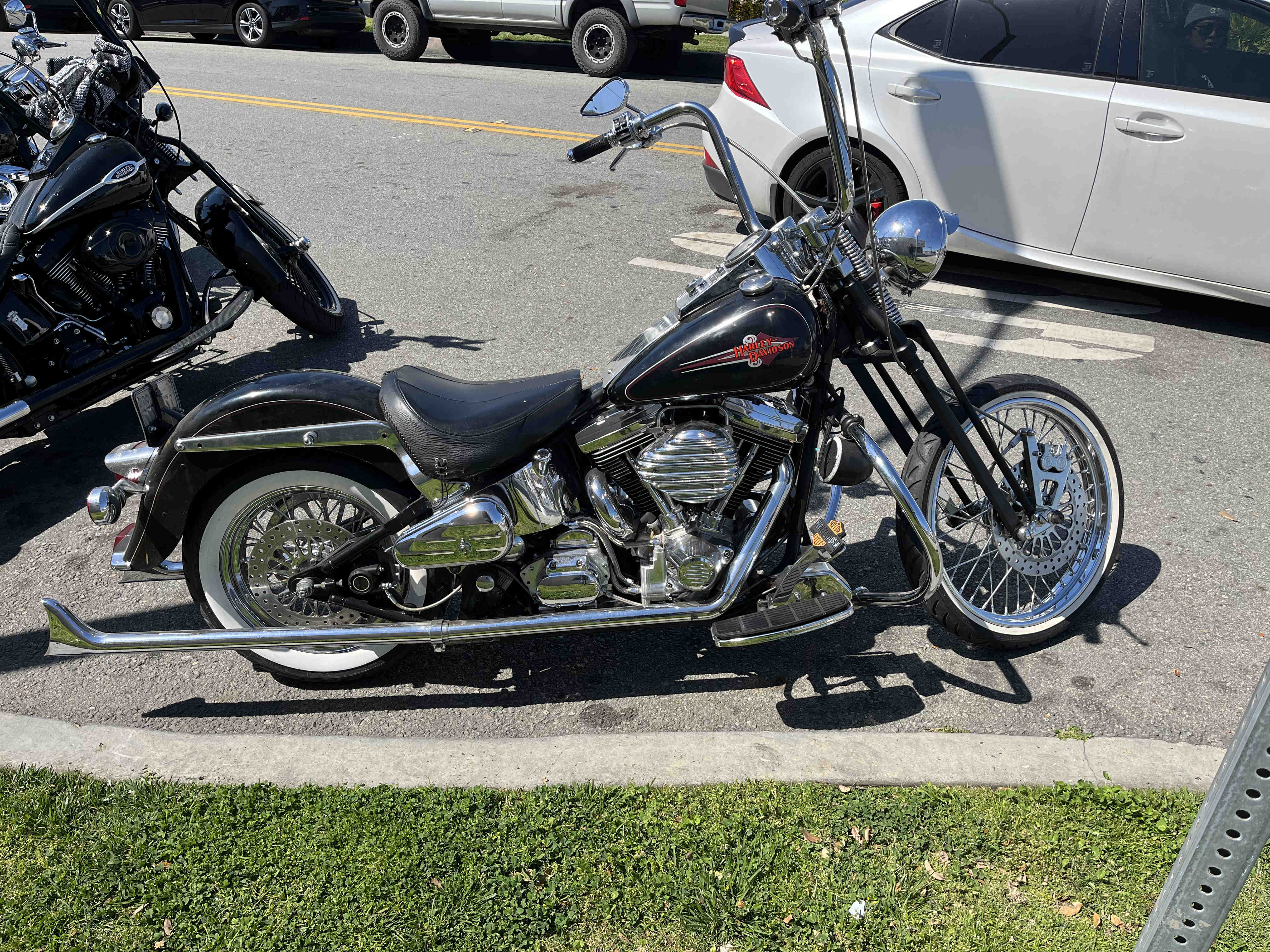 1997 store springer softail